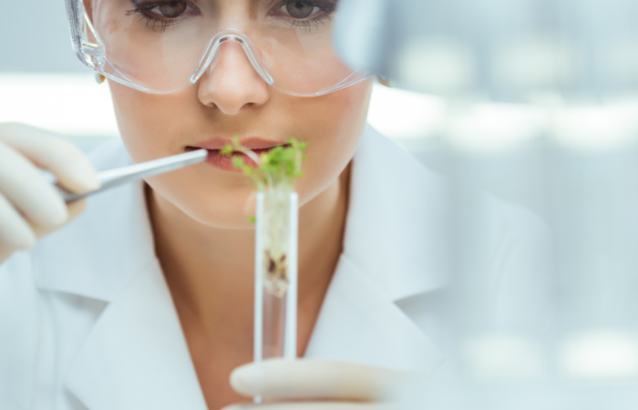 kobieta w laboratorium, trzymająca probówkę ze świeżo wyhodowaną rośliną