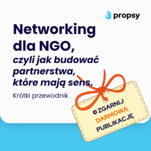 darmowy ebook dla NGO: networking i budowanie partnerstw
